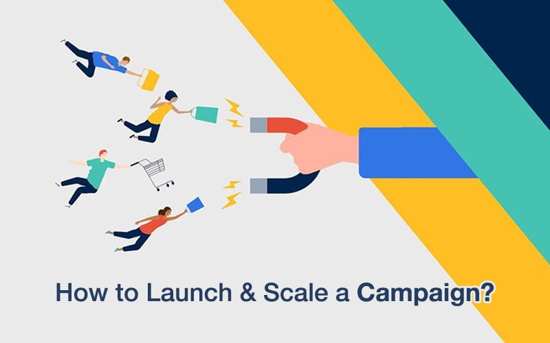 How to Launch and Scale a Campaign?