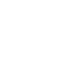 Media Supplements