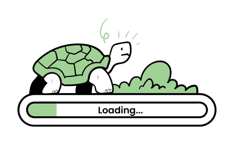 Slow loading of the website