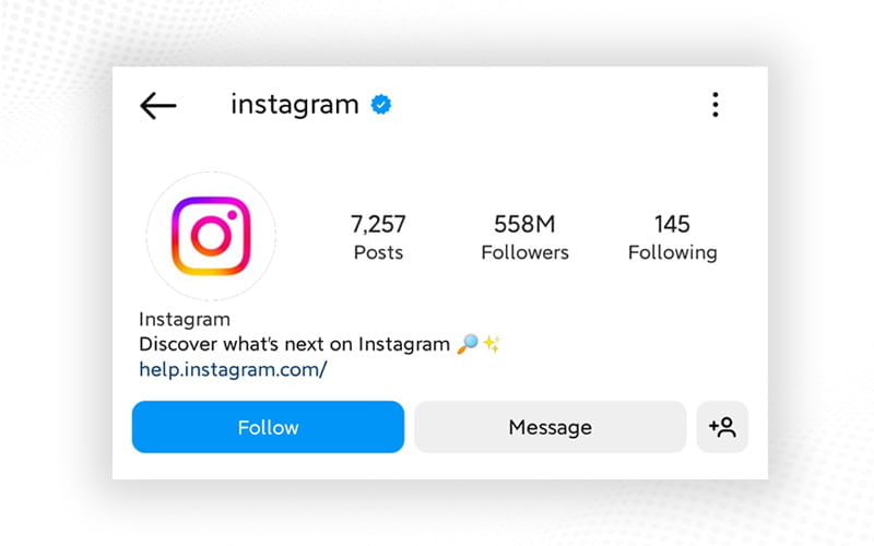 Engaging Instagram Profile And Bio